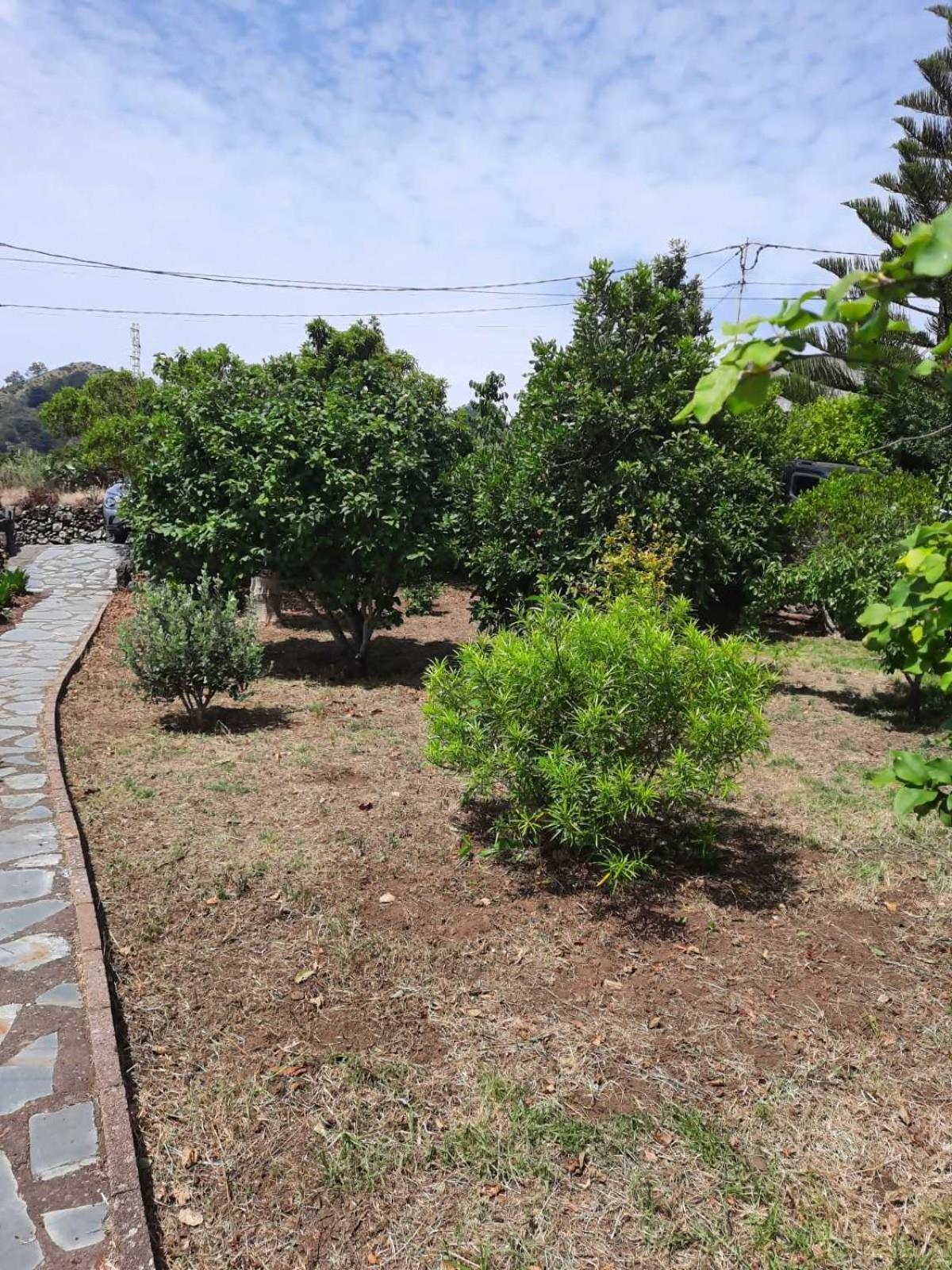 Casa Rural Sanjora Valverde (El Hierro) Exterior foto